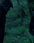 Leave_No_Trace_mp43775.jpg
