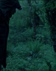 Leave_No_Trace_mp43776.jpg