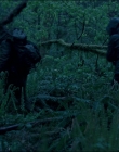 Leave_No_Trace_mp43865.jpg