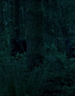 Leave_No_Trace_mp43874.jpg