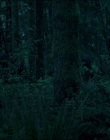 Leave_No_Trace_mp43875.jpg