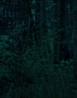Leave_No_Trace_mp43879.jpg