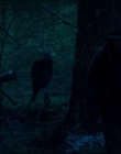 Leave_No_Trace_mp43884.jpg