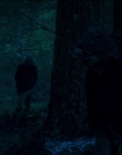 Leave_No_Trace_mp43885.jpg