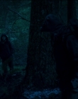Leave_No_Trace_mp43886.jpg