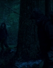 Leave_No_Trace_mp43887.jpg
