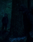 Leave_No_Trace_mp43888.jpg