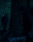 Leave_No_Trace_mp43889.jpg