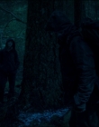 Leave_No_Trace_mp43892.jpg
