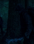 Leave_No_Trace_mp43893.jpg