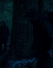 Leave_No_Trace_mp43895.jpg