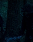 Leave_No_Trace_mp43896.jpg