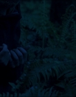 Filename=Leave_No_Trace_mp43917.jpg
Filesize=558KiB
Dimensions=1920x1040
Date added=Jan 15, 2020 Leave_No_Trace_mp43917.jpg