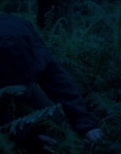 Filename=Leave_No_Trace_mp43919.jpg
Filesize=755KiB
Dimensions=1920x1040
Date added=Jan 15, 2020 Leave_No_Trace_mp43919.jpg