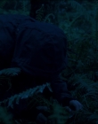 Filename=Leave_No_Trace_mp43920.jpg
Filesize=757KiB
Dimensions=1920x1040
Date added=Jan 15, 2020 Leave_No_Trace_mp43920.jpg