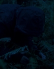 Filename=Leave_No_Trace_mp43921.jpg
Filesize=736KiB
Dimensions=1920x1040
Date added=Jan 15, 2020 Leave_No_Trace_mp43921.jpg