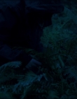 Filename=Leave_No_Trace_mp43922.jpg
Filesize=738KiB
Dimensions=1920x1040
Date added=Jan 15, 2020 Leave_No_Trace_mp43922.jpg