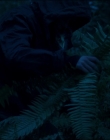 Filename=Leave_No_Trace_mp43923.jpg
Filesize=728KiB
Dimensions=1920x1040
Date added=Jan 15, 2020 Leave_No_Trace_mp43923.jpg