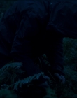 Filename=Leave_No_Trace_mp43926.jpg
Filesize=724KiB
Dimensions=1920x1040
Date added=Jan 15, 2020 Leave_No_Trace_mp43926.jpg