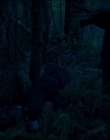 Filename=Leave_No_Trace_mp43941.jpg
Filesize=897KiB
Dimensions=1920x1040
Date added=Jan 15, 2020 Leave_No_Trace_mp43941.jpg