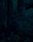 Filename=Leave_No_Trace_mp43942.jpg
Filesize=851KiB
Dimensions=1920x1040
Date added=Jan 15, 2020 Leave_No_Trace_mp43942.jpg