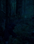 Filename=Leave_No_Trace_mp43943.jpg
Filesize=886KiB
Dimensions=1920x1040
Date added=Jan 15, 2020 Leave_No_Trace_mp43943.jpg