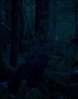 Filename=Leave_No_Trace_mp43944.jpg
Filesize=878KiB
Dimensions=1920x1040
Date added=Jan 15, 2020 Leave_No_Trace_mp43944.jpg