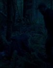 Filename=Leave_No_Trace_mp43948.jpg
Filesize=804KiB
Dimensions=1920x1040
Date added=Jan 15, 2020 Leave_No_Trace_mp43948.jpg