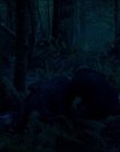 Filename=Leave_No_Trace_mp43949.jpg
Filesize=861KiB
Dimensions=1920x1040
Date added=Jan 15, 2020 Leave_No_Trace_mp43949.jpg