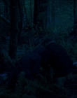 Filename=Leave_No_Trace_mp43950.jpg
Filesize=850KiB
Dimensions=1920x1040
Date added=Jan 15, 2020 Leave_No_Trace_mp43950.jpg
