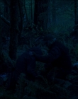 Filename=Leave_No_Trace_mp43951.jpg
Filesize=863KiB
Dimensions=1920x1040
Date added=Jan 15, 2020 Leave_No_Trace_mp43951.jpg