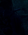 Filename=Leave_No_Trace_mp43976.jpg
Filesize=459KiB
Dimensions=1920x1040
Date added=Jan 15, 2020 Leave_No_Trace_mp43976.jpg