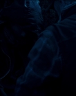 Filename=Leave_No_Trace_mp43984.jpg
Filesize=383KiB
Dimensions=1920x1040
Date added=Jan 15, 2020 Leave_No_Trace_mp43984.jpg