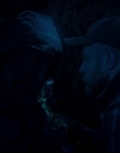 Filename=Leave_No_Trace_mp43995.jpg
Filesize=499KiB
Dimensions=1920x1040
Date added=Jan 15, 2020 Leave_No_Trace_mp43995.jpg