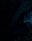Filename=Leave_No_Trace_mp44019.jpg
Filesize=283KiB
Dimensions=1920x1040
Date added=Jan 15, 2020 Leave_No_Trace_mp44019.jpg