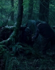 Leave_No_Trace_mp44058.jpg