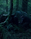 Leave_No_Trace_mp44059.jpg