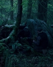 Leave_No_Trace_mp44060.jpg