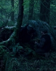 Leave_No_Trace_mp44061.jpg