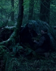 Leave_No_Trace_mp44062.jpg