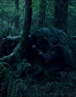 Leave_No_Trace_mp44063.jpg