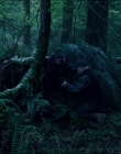 Leave_No_Trace_mp44064.jpg