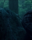 Leave_No_Trace_mp44065.jpg