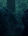 Leave_No_Trace_mp44066.jpg