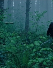 Leave_No_Trace_mp44076.jpg
