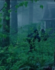 Leave_No_Trace_mp44077.jpg