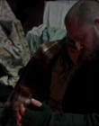 Leave_No_Trace_mp44126.jpg