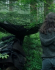 Filename=Leave_No_Trace_mp44271.jpg
Filesize=1524KiB
Dimensions=1920x1040
Date added=Jan 15, 2020 Leave_No_Trace_mp44271.jpg