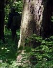 Filename=Leave_No_Trace_mp44491.jpg
Filesize=1171KiB
Dimensions=1920x1040
Date added=Jan 15, 2020 Leave_No_Trace_mp44491.jpg