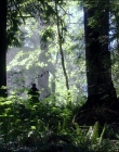 Filename=Leave_No_Trace_mp44498.jpg
Filesize=1626KiB
Dimensions=1920x1040
Date added=Jan 15, 2020 Leave_No_Trace_mp44498.jpg